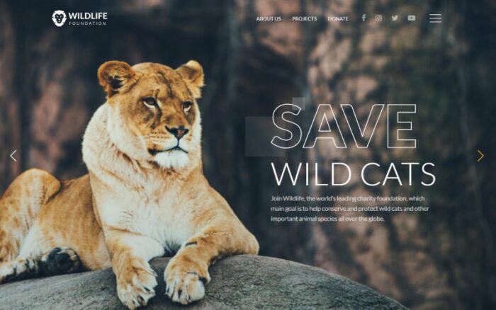 WildLife - Template Situs Web HTML Kreatif Multihalaman untuk Satwa Liar