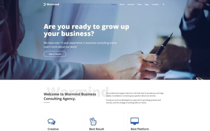 Wormind - Business Multipurpose Classic WordPress Elementor Theme