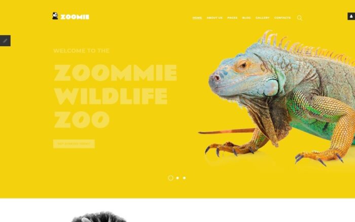 Zoomie - Template Joomla Kebun Binatang Satwa Liar