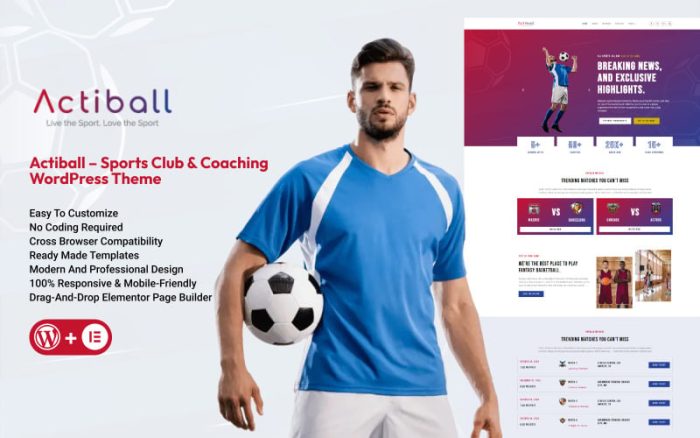 Actiball - Sports & Fitness WordPress Theme