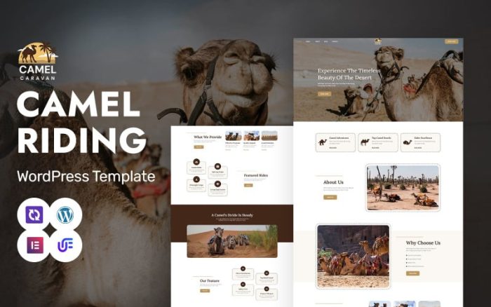 Camel Caravan - Camel Safari And Adventure Tours WordPress Elementor Theme