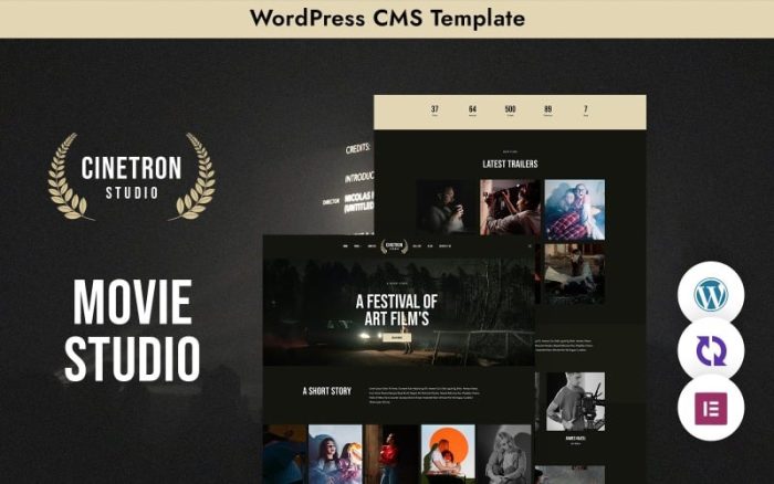 "Cinetron" WordPress Theme for Cinema Studios