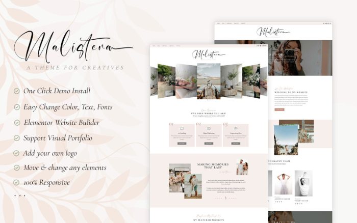 Malistena - Blog & Photographer WP Theme Elementor
