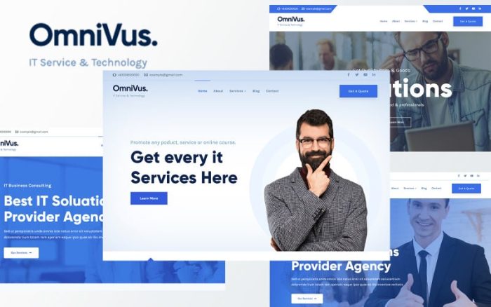 Omnivus - IT Solutions & Services WordPress Theme