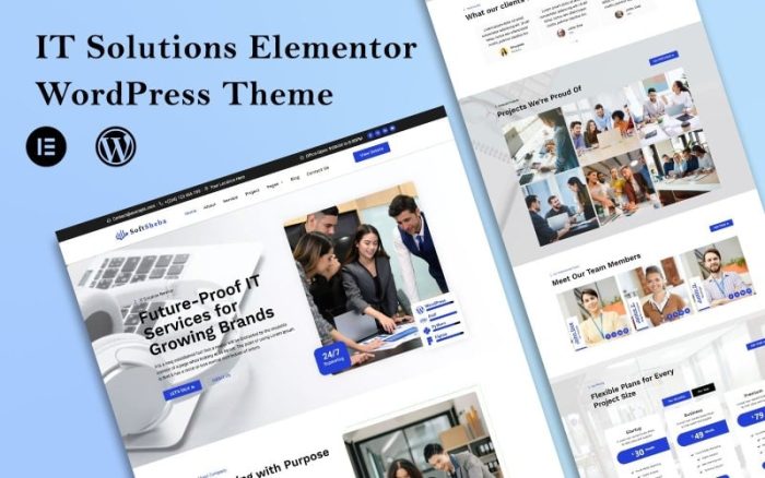 SoftSheba - IT Solutions Agency Elementor WordPress Theme