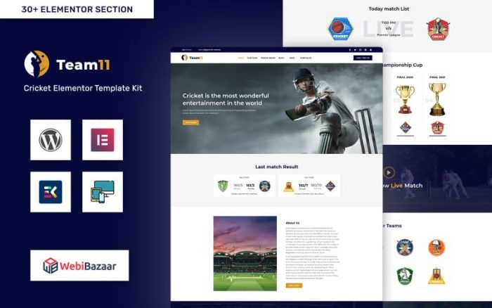 Team11 - Cricket Responsive Website WordPress Elementor Theme